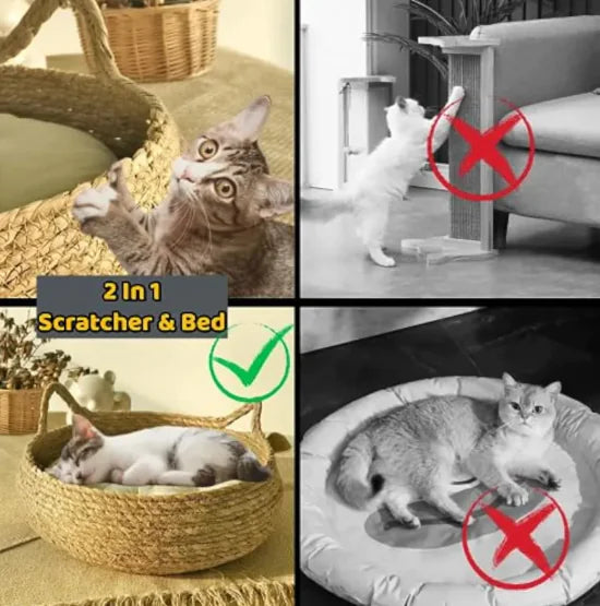 Handmade Cat Scratch Bed