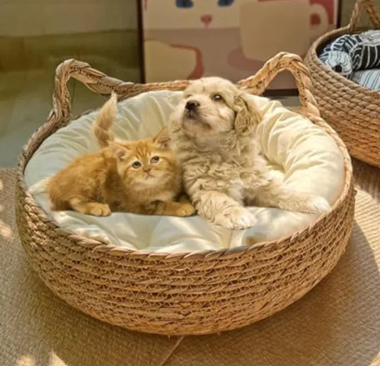 Handmade Cat Scratch Bed