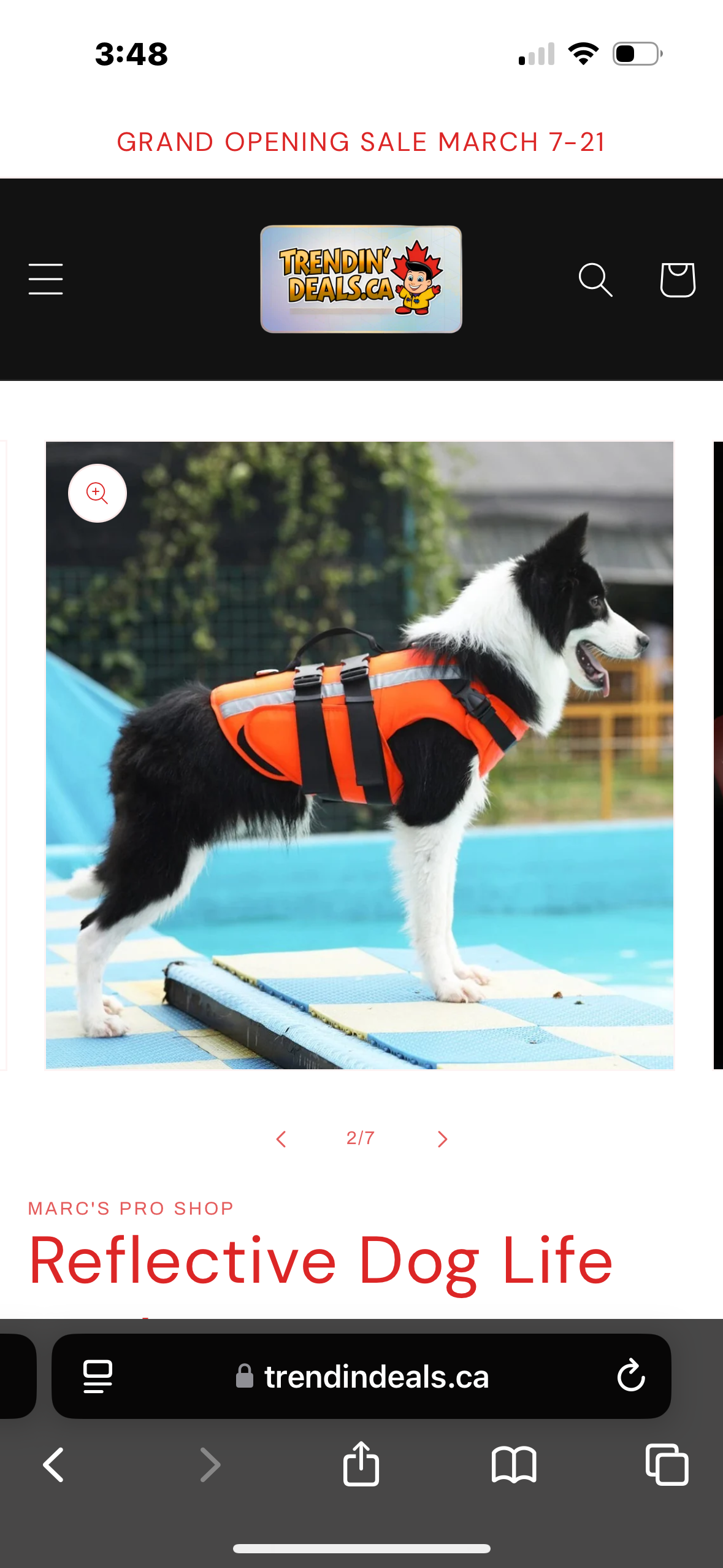 Everything Dogs