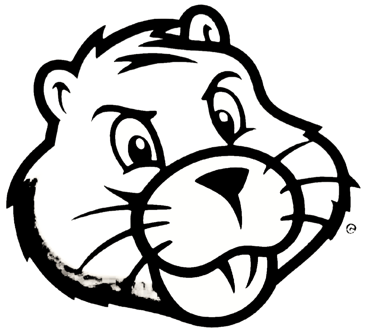 Bad Gopher - Men's