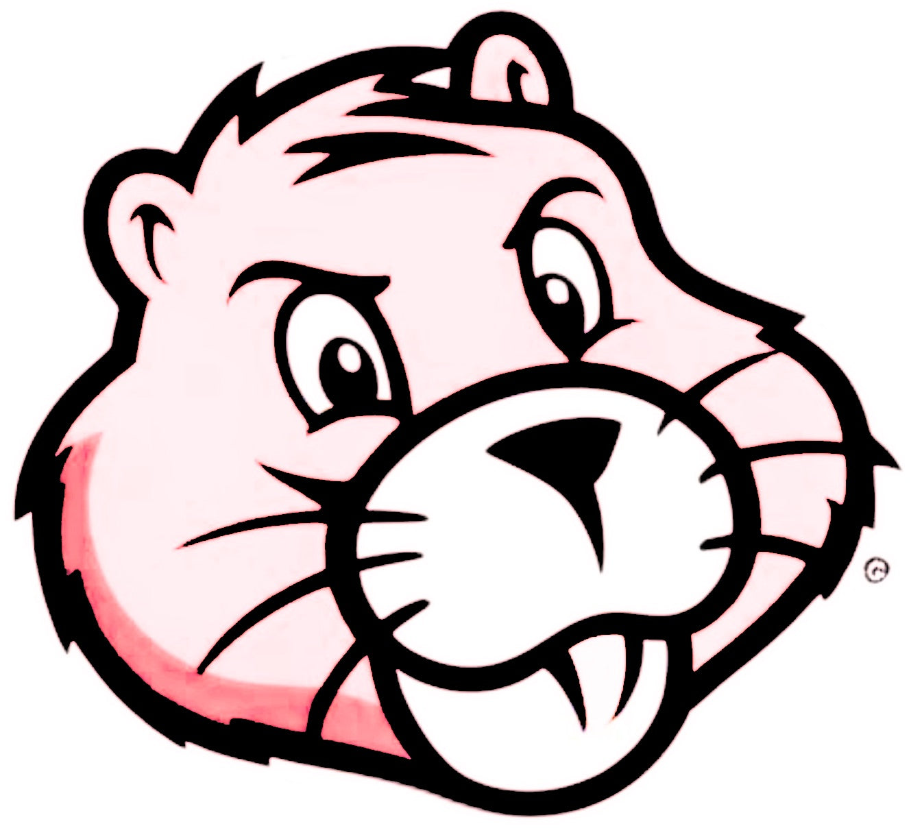 Bad Gopher - Women