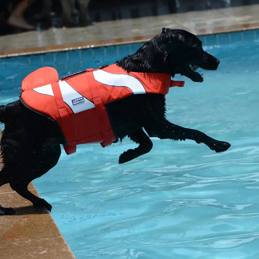 Adjustable Mermaid Shark Dog Life Vest