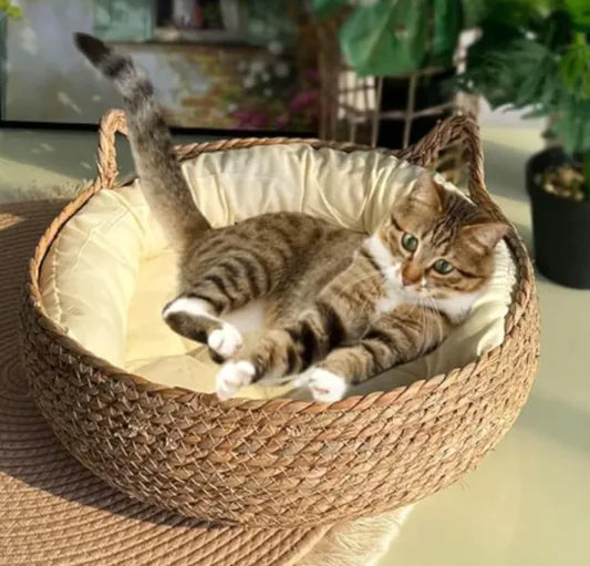 Handmade Cat Scratch Bed